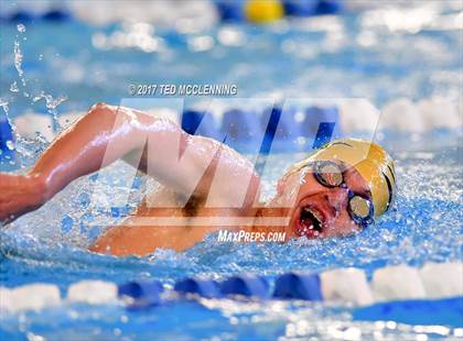 Thumbnail 2 in AAA Championship Dive Meet  photogallery.