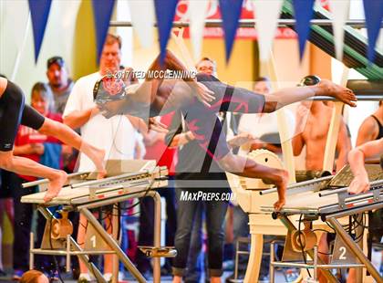 Thumbnail 1 in AAA Championship Dive Meet  photogallery.