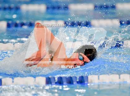 Thumbnail 2 in AAA Championship Dive Meet  photogallery.