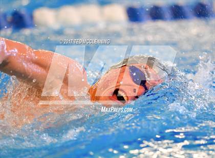 Thumbnail 2 in AAA Championship Dive Meet  photogallery.