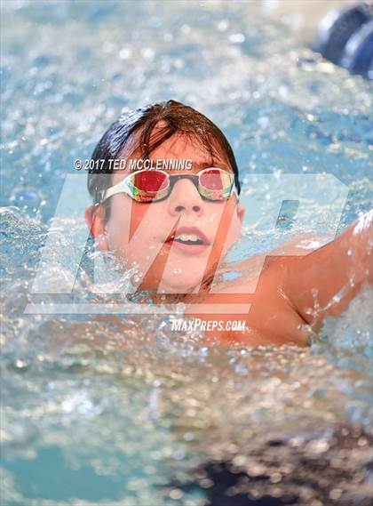 Thumbnail 2 in AAA Championship Dive Meet  photogallery.