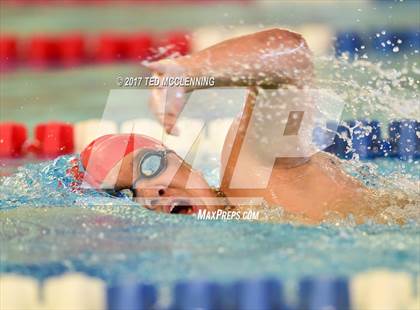 Thumbnail 1 in AAA Championship Dive Meet  photogallery.