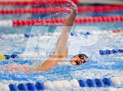 Thumbnail 3 in AAA Championship Dive Meet  photogallery.