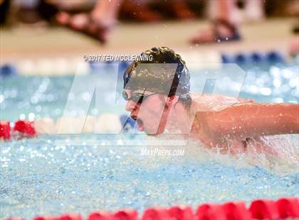Thumbnail 1 in AAA Championship Dive Meet  photogallery.