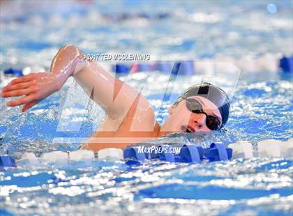 Thumbnail 2 in AAA Championship Dive Meet  photogallery.