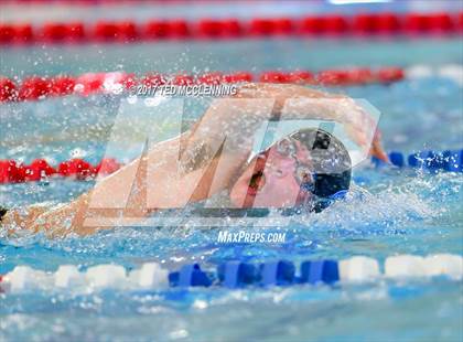 Thumbnail 2 in AAA Championship Dive Meet  photogallery.