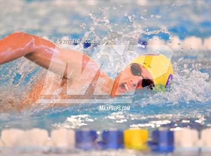 Thumbnail 2 in AAA Championship Dive Meet  photogallery.