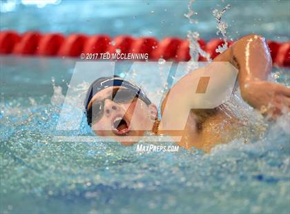 Thumbnail 2 in AAA Championship Dive Meet  photogallery.