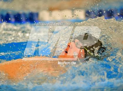 Thumbnail 2 in AAA Championship Dive Meet  photogallery.