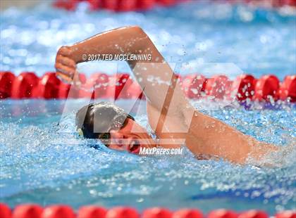 Thumbnail 1 in AAA Championship Dive Meet  photogallery.