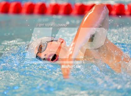 Thumbnail 3 in AAA Championship Dive Meet  photogallery.