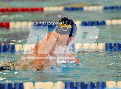 Thumbnail 2 in AAA Championship Dive Meet  photogallery.