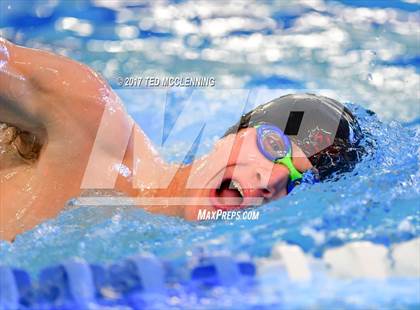 Thumbnail 1 in AAA Championship Dive Meet  photogallery.