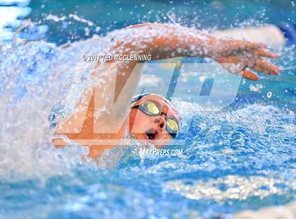 Thumbnail 2 in AAA Championship Dive Meet  photogallery.