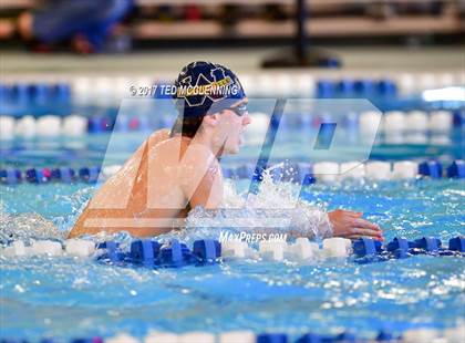 Thumbnail 1 in AAA Championship Dive Meet  photogallery.