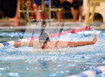 Thumbnail 1 in AAA Championship Dive Meet  photogallery.