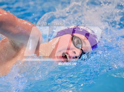 Thumbnail 2 in AAA Championship Dive Meet  photogallery.