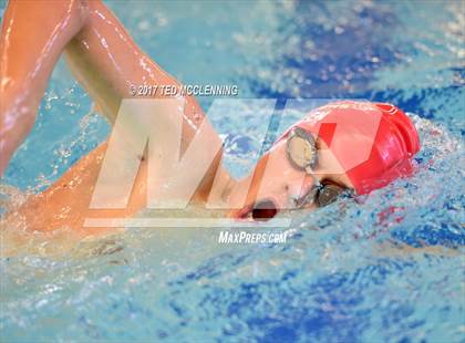 Thumbnail 1 in AAA Championship Dive Meet  photogallery.