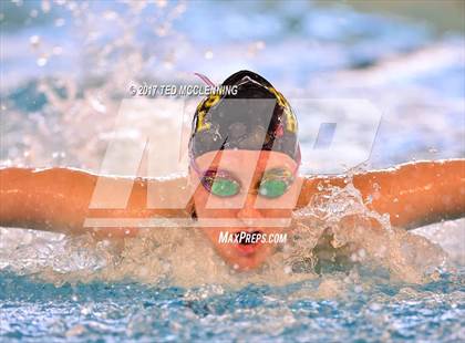 Thumbnail 3 in AAA Championship Dive Meet  photogallery.