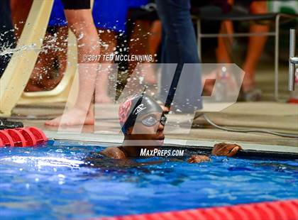Thumbnail 1 in AAA Championship Dive Meet  photogallery.