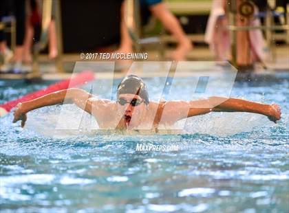 Thumbnail 2 in AAA Championship Dive Meet  photogallery.