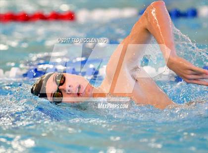 Thumbnail 1 in AAA Championship Dive Meet  photogallery.