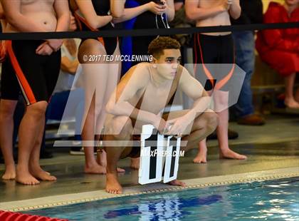 Thumbnail 2 in AAA Championship Dive Meet  photogallery.