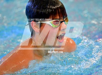 Thumbnail 2 in AAA Championship Dive Meet  photogallery.