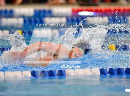 Thumbnail 3 in AAA Championship Dive Meet  photogallery.