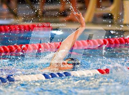 Thumbnail 1 in AAA Championship Dive Meet  photogallery.