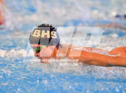 Thumbnail 3 in AAA Championship Dive Meet  photogallery.