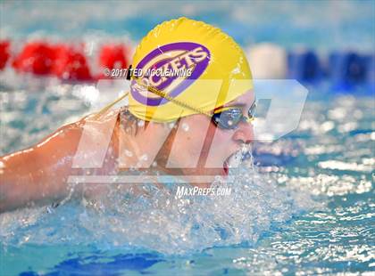 Thumbnail 3 in AAA Championship Dive Meet  photogallery.