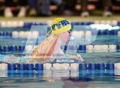 Thumbnail 1 in AAA Championship Dive Meet  photogallery.