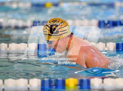 Thumbnail 3 in AAA Championship Dive Meet  photogallery.
