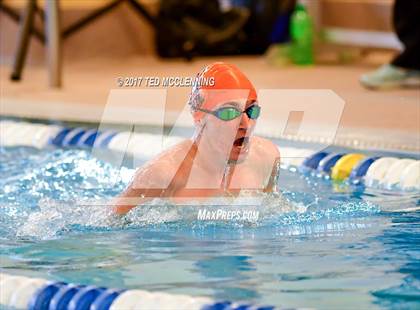Thumbnail 1 in AAA Championship Dive Meet  photogallery.