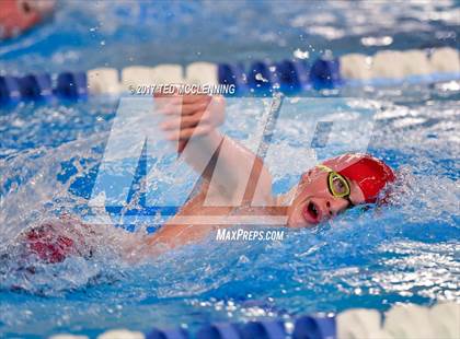 Thumbnail 1 in AAA Championship Dive Meet  photogallery.