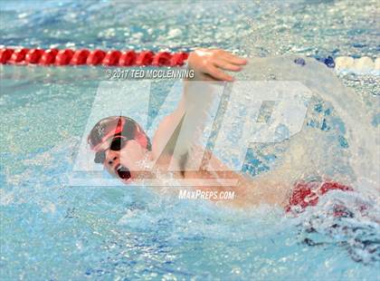 Thumbnail 1 in AAA Championship Dive Meet  photogallery.