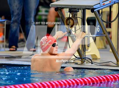 Thumbnail 1 in AAA Championship Dive Meet  photogallery.