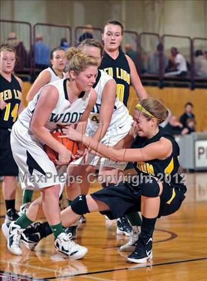 Thumbnail 3 in Red Lion vs. Archbishop Wood (11th Annual Girls Play by Play Classic) photogallery.