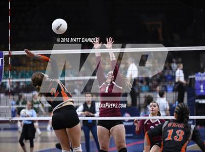 Thumbnail 3 in Wiggins vs. Swink (CHSAA 3A Playoff) photogallery.