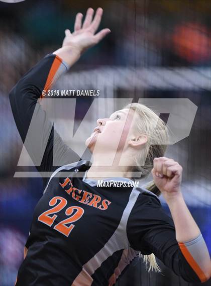 Thumbnail 1 in Wiggins vs. Swink (CHSAA 3A Playoff) photogallery.