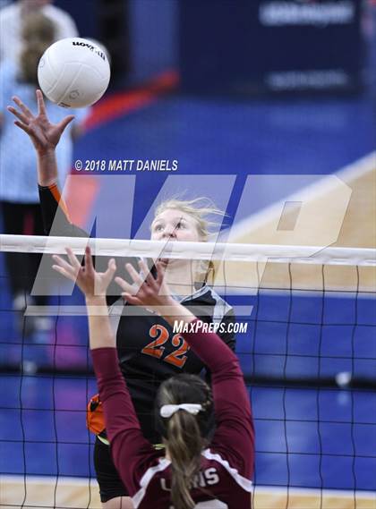 Thumbnail 1 in Wiggins vs. Swink (CHSAA 3A Playoff) photogallery.