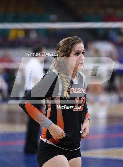 Thumbnail 2 in Wiggins vs. Swink (CHSAA 3A Playoff) photogallery.