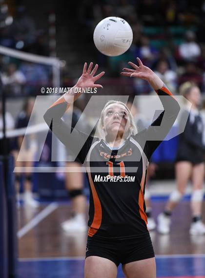 Thumbnail 3 in Wiggins vs. Swink (CHSAA 3A Playoff) photogallery.