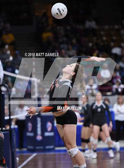 Thumbnail 1 in Wiggins vs. Swink (CHSAA 3A Playoff) photogallery.