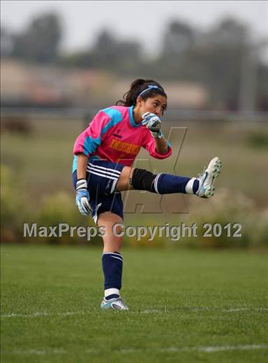 null - Photo 01