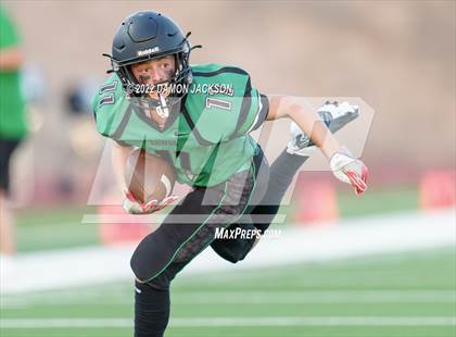 Thumbnail 3 in JV: Pahrump @ Virgin Valley photogallery.