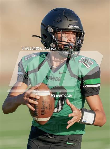 Thumbnail 1 in JV: Pahrump @ Virgin Valley photogallery.