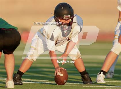 Thumbnail 3 in JV: Pahrump @ Virgin Valley photogallery.