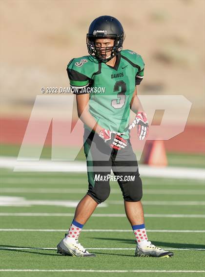 Thumbnail 3 in JV: Pahrump @ Virgin Valley photogallery.